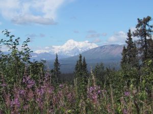 Mount McKinley or Denali (as you may prefer) Symbol of the power of truth.