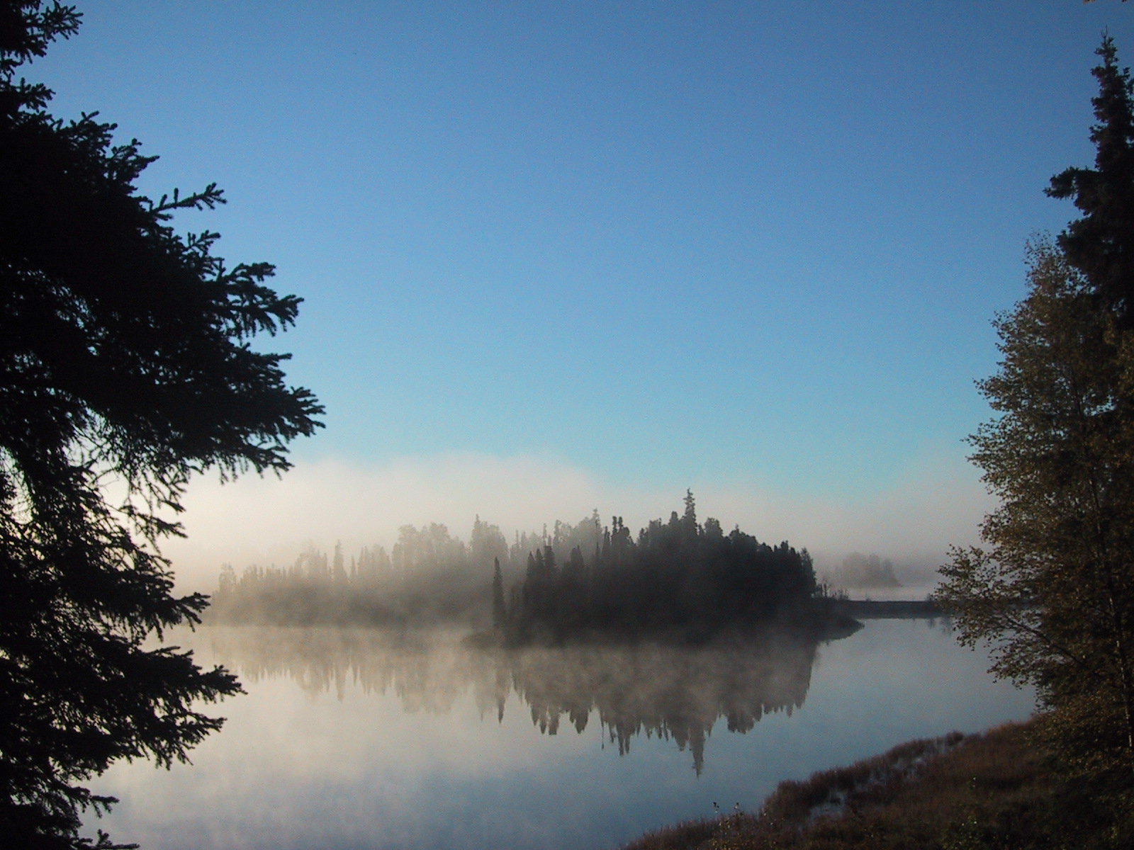 Opposing trees with foggy island between.